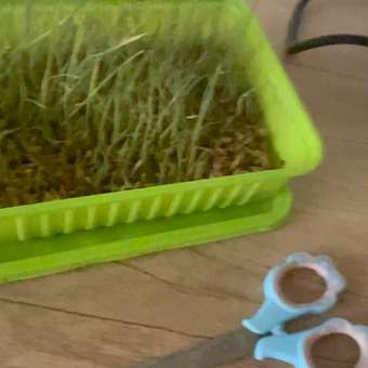 Лакомство для кошек Альпийские луга 7 трав Травка лоток 75г: отзыв пользователя. Зоомагазин Зоозавр