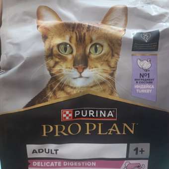 Корм сухой для кошек PRO PLAN DELICATE DIGESTION 1.5 кг с индейкой: отзыв пользователя. Зоомагазин Зоозавр