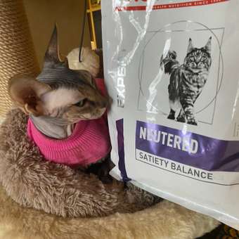 Корм для кошек ROYAL CANIN Neutered Satiety Balance стерилизованных 3.5кг: отзыв пользователя. Зоомагазин Зоозавр