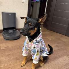 Фото отзыва 10564455