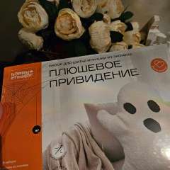 Фото отзыва 10489739