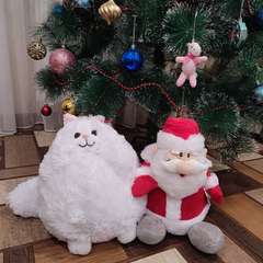 Фото отзыва 10905521