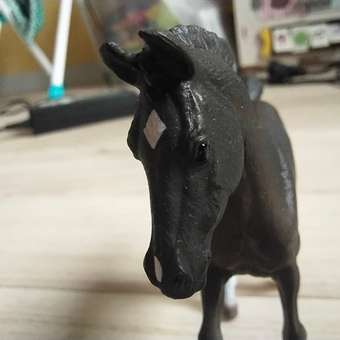 Игровой набор Collecta Жеребёнок Теннессийский чёрный: отзыв пользователя Детский Мир