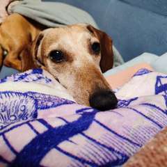 Фото отзыва 10634494