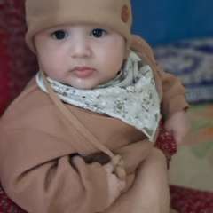 Фото отзыва 11017560