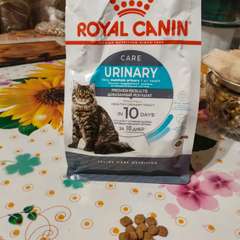 Фото отзыва 10762526