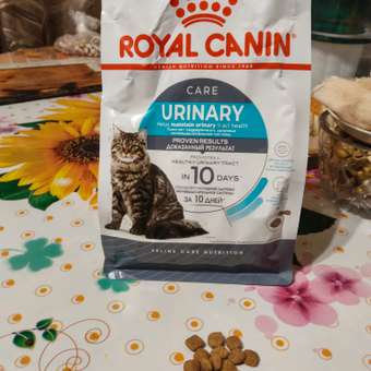 Корм сухой для кошек ROYAL CANIN Urinary Care 400г для профилактики мочекаменной болезни: отзыв пользователя. Зоомагазин Зоозавр
