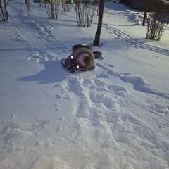 Фото отзыва 10758184