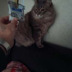 Фото отзыва 10747582