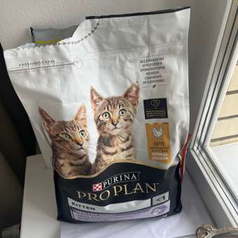 Корм сухой для котят PRO PLAN HEALTHY START 3 кг с курицей: отзыв пользователя. Зоомагазин Зоозавр