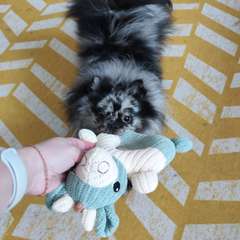 Фото отзыва 11005830