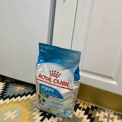 Фото отзыва 10747981