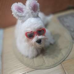 Фото отзыва 10613897