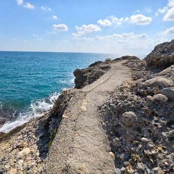 Коляска прогулочная Babyton Zoo Blue голубой: отзыв пользователя Детский Мир