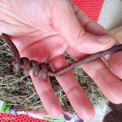 Фото отзыва 10847083