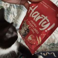 Фото отзыва 10913259