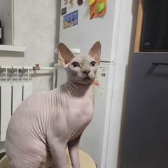 Фото отзыва 10958507