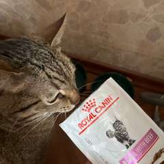 Фото отзыва 10918248