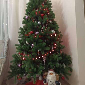 Ель искусственная Царь елка Русская красавица премиум 210см: отзыв пользователя Детский Мир