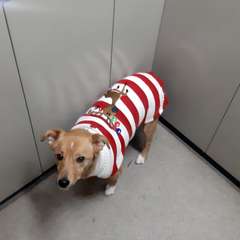 Фото отзыва 10873420