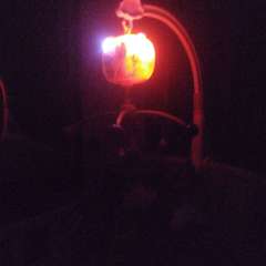 Фото отзыва 10716148