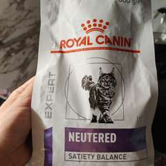 Фото отзыва 10310773