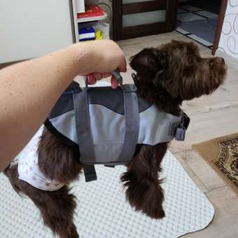 Спасательный жилет SuperPets для собаки для плавания: отзыв пользователя. Зоомагазин Зоозавр