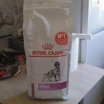 Корм для собак ROYAL CANIN Renal при почечной недостаточности 2кг: отзыв пользователя. Зоомагазин Зоозавр