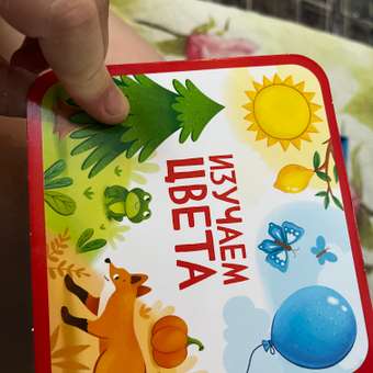 Книжка-раскладушка Attivio Изучаем цвета: отзыв пользователя Детский Мир