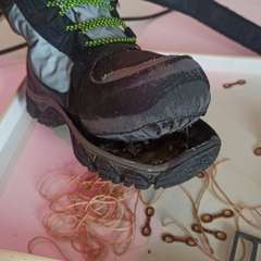 Фото отзыва 3350776