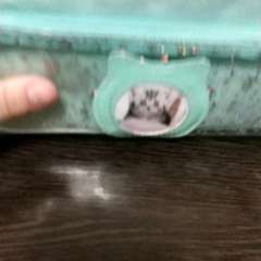 Видео отзыва 10755208