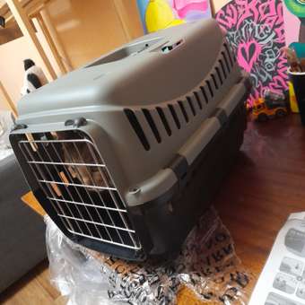 Переноска для животных малая Lilli Pet для кошек собак мелких и средних пород транспортный бокс перевозка 46*31*32 см болотная: отзыв пользователя. Зоомагазин Зоозавр
