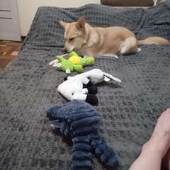 Фото отзыва 10954037