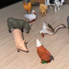 Фото отзыва 10794123