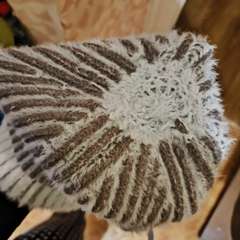 Фото отзыва 10600565