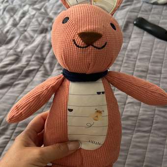 Игрушка для собак Barbaks Заяц мягкий пищит 42*18см: отзыв пользователя. Зоомагазин Зоозавр