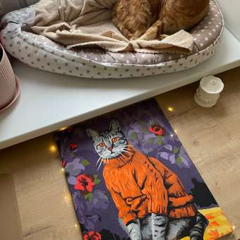 Картина по номерам Hobby Paint Кот в свитере в ассортименте: отзыв пользователя Детский Мир