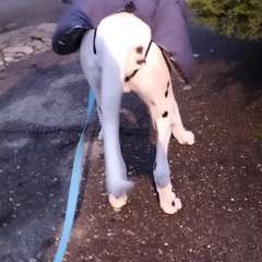 Фото отзыва 10505161