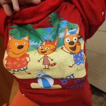 Футболка Три кота: отзыв пользователя Детский Мир