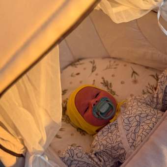 Пустышка Canpol Babies силикон от 0 мес. 2 шт.: отзыв пользователя Детский Мир