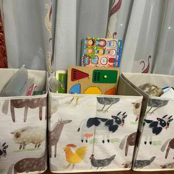 Коробка для хранения FUTURINO Home Ферма: отзыв пользователя ДетМир