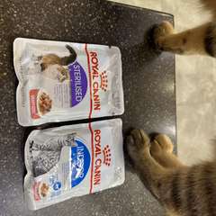 Фото отзыва 10664510