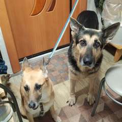 Фото отзыва 10535996