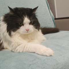 Фото отзыва 11029208