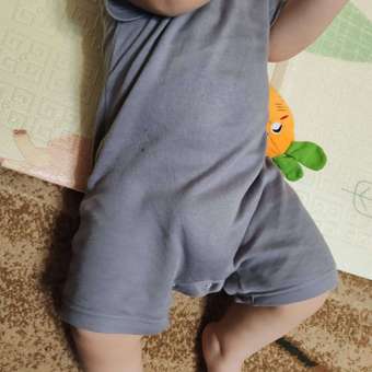 Песочник Рыжик: отзыв пользователя Детский Мир