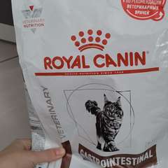 Фото отзыва 10790849