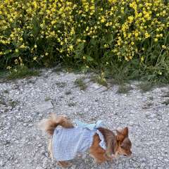 Фото отзыва 10485132