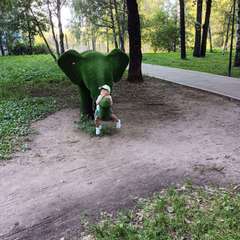 Фото отзыва 10757816