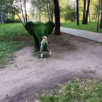 Кроссовки Boys and Girls: отзыв пользователя Детский Мир