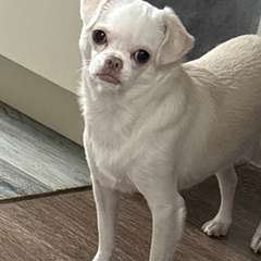 Фото отзыва 10660791